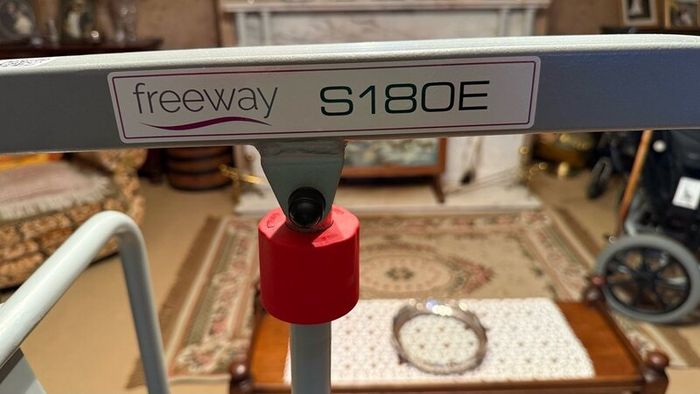 Freeway S180E Electric Mobile Hoist 180kg