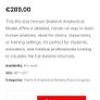Human Skeleton Model for Anatomy Image 7