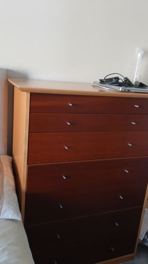 chest