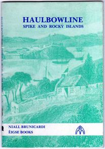 Haulbowline, Spike And Rocky Islands In Cork Harbour