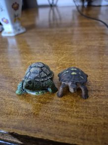 2 collectible turtle figurines