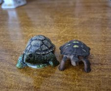 2 collectible turtle figurines