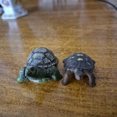2 collectible turtle figurines