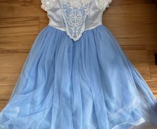Princess dress up