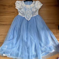 Princess dress up