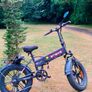Enguie EP-2pro Electric Cycle Image 3