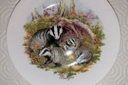 Finsbury Bone China Badgers Plate