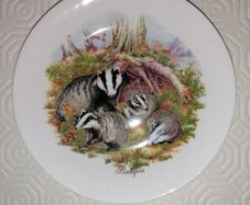 Finsbury Bone China Badgers Plate