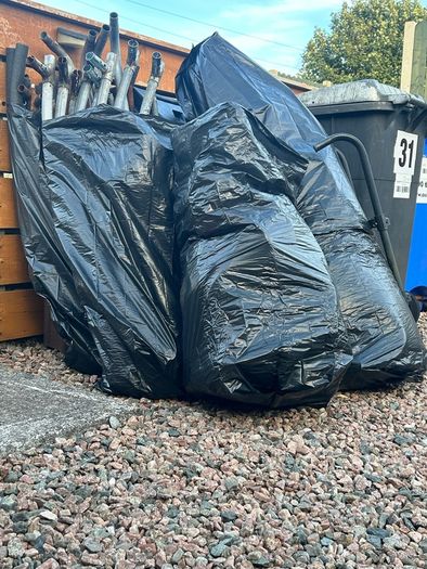 FREE trampoline