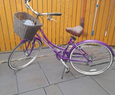Adult Ladies Bicycle