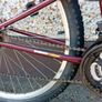Boys Apollo Cipher Mtb Image 4