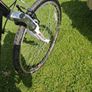 Vercelli  Aurora Ladies Bike Image 8