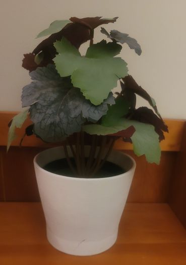 Artificial Plants in Ceramic Pots x2