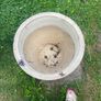 ceramic pot Image 2