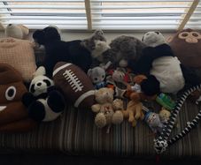 Selection of cuddly toys