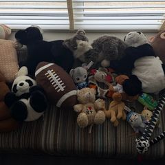 Selection of cuddly toys