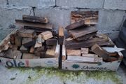 Firewood
