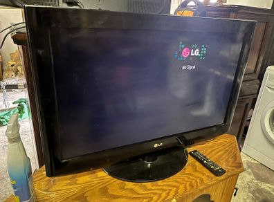 31 inch LG TV