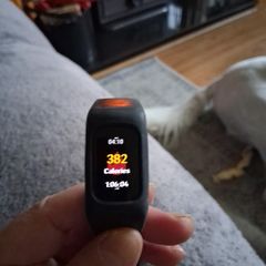 fitbit charge 6
