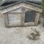 dog kennel Image 2