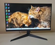 LG UltraGear Gaming Monitor 24GS50F, 24 Inch, 1080p, 180Hz, HDR 10, AMD FreeSync