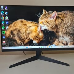LG UltraGear Gaming Monitor 24GS50F, 24 Inch, 1080p, 180Hz, HDR 10, AMD FreeSync