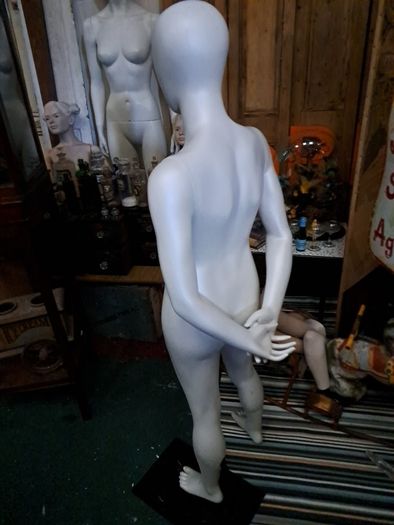 Teenage Mannequin