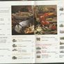 Recipes From Pan-Cooked Chicken Dishes Around the World Image 2
