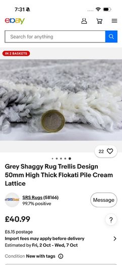 Carpet rug