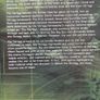 Quake 4 Best of Activision Edition (PC DVD-ROM) CIB Image 5