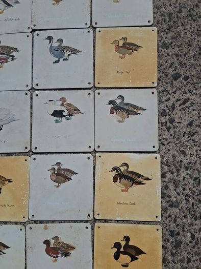 37 X Mid Century Avian Metal Display Plaques