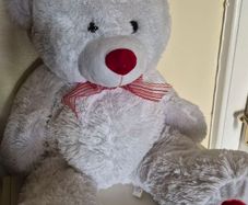 large teddy