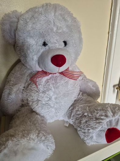 large teddy