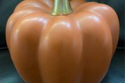 Ceramic Pumpkin