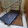 Dog crate Image 3