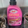 Orchid x 2 and orchid feed Image 2