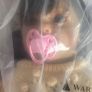 doll Image 4