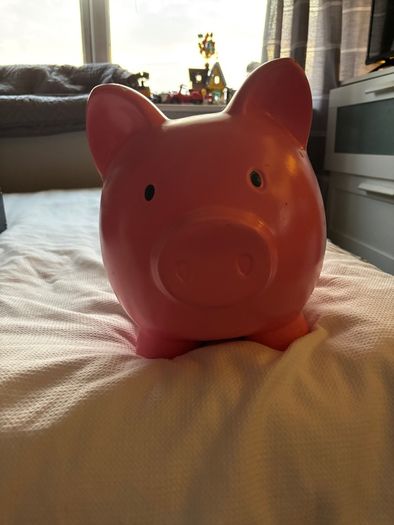 Large Piggy bank