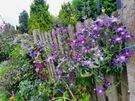 Gardener Image 10