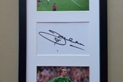 Ireland football autograph display