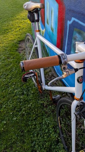 Fixie bike Giant Bowery 72 limited edition, track, pista.