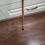 Walking stick Image 2