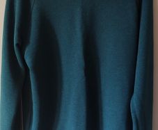 Carhartt Holbrook Sweat Sweatshirt / jumper