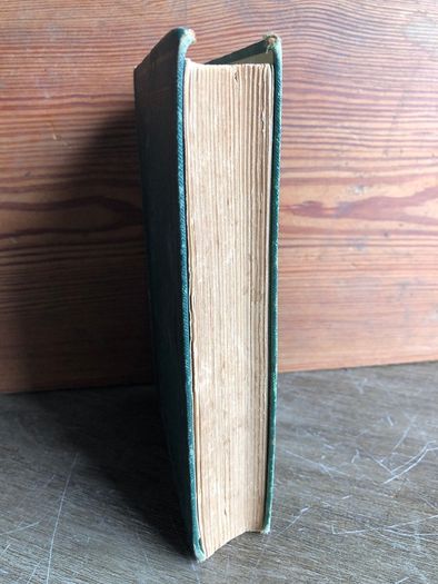 Antique Book The Flight of the Eagle by Standish O'Grady