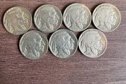 USA Full Date Buffalo Nickel 7 coin Lot (Different Dates)