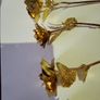 Gold coloured roses Image 5