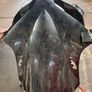 Yamaha R1 bodywork 2006 Image 3