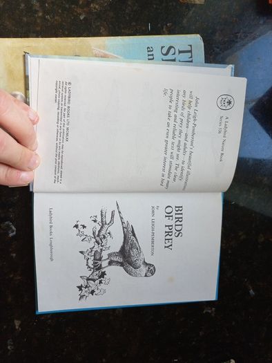 Vintage Ladybird Books- The Seashore and Birds of Prey