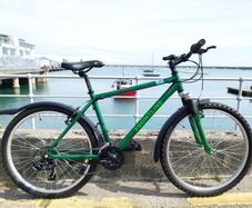 Frontline Mountain Bike