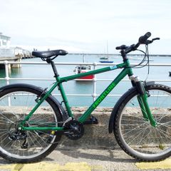 Frontline Mountain Bike